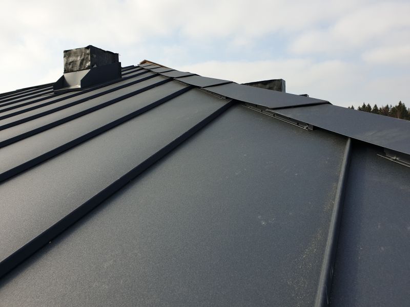 Aluminum Roof Waterproofing in Parker, CO
