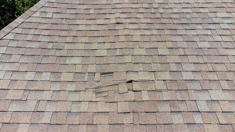 Asphalt Roof Inspection in Denver County, CO