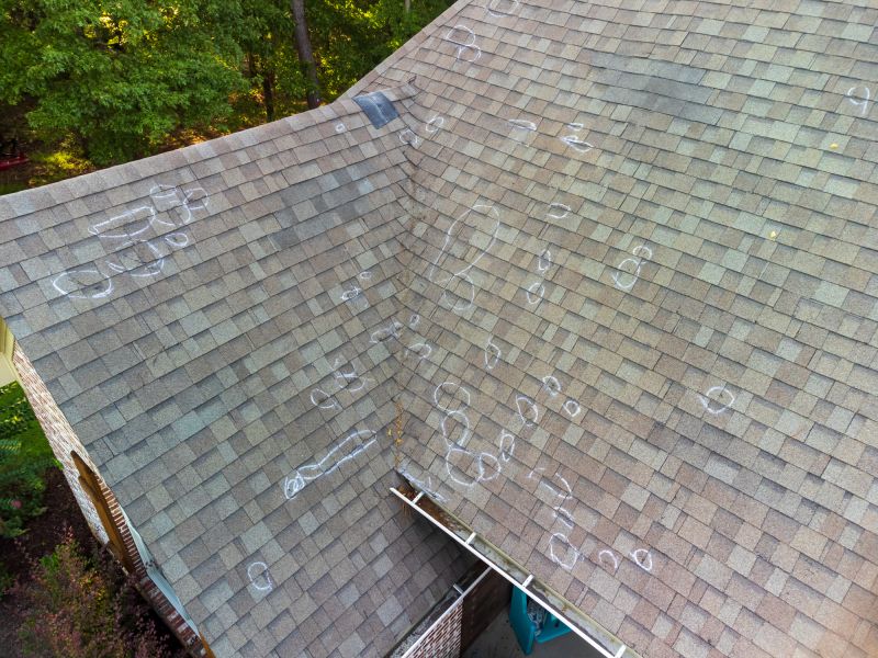 Asphalt Roof Inspection in Elizabeth, CO