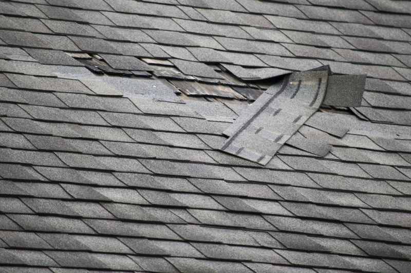 Asphalt Roof Leak Repair in Littleton, CO