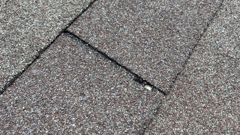 Asphalt Roof Repair in Elbert County, CO