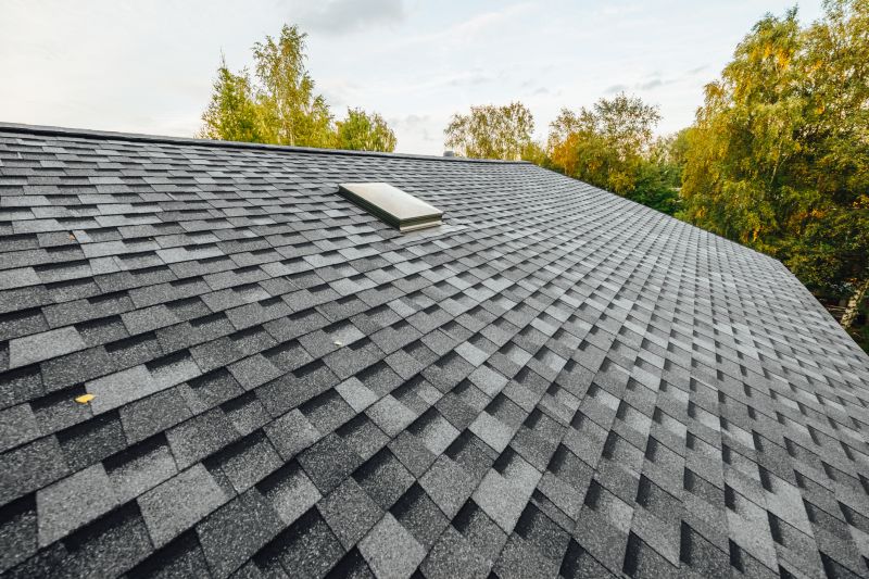Asphalt Shingles Installation in Douglas County, CO