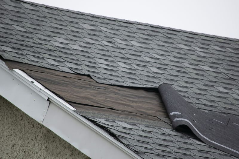 Asphalt Shingles Repair in Adams County, CO