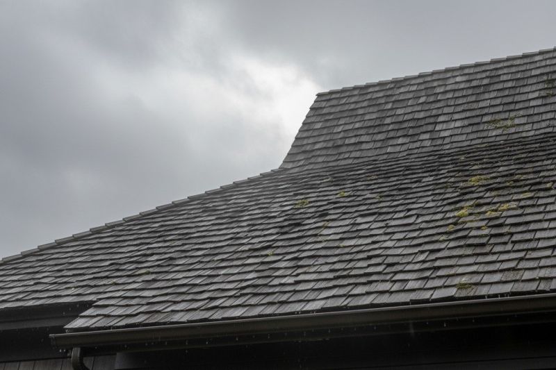 Cedar Roof Replacement in Parker, CO