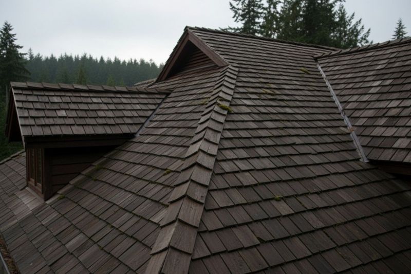 Cedar Shake Roof Replacement in Parker, CO