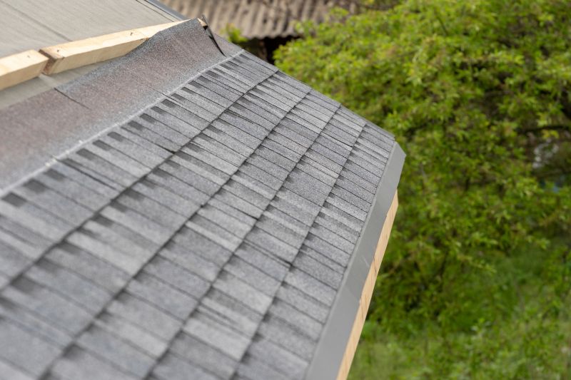 Damaged Roof Repair in Denver County, CO