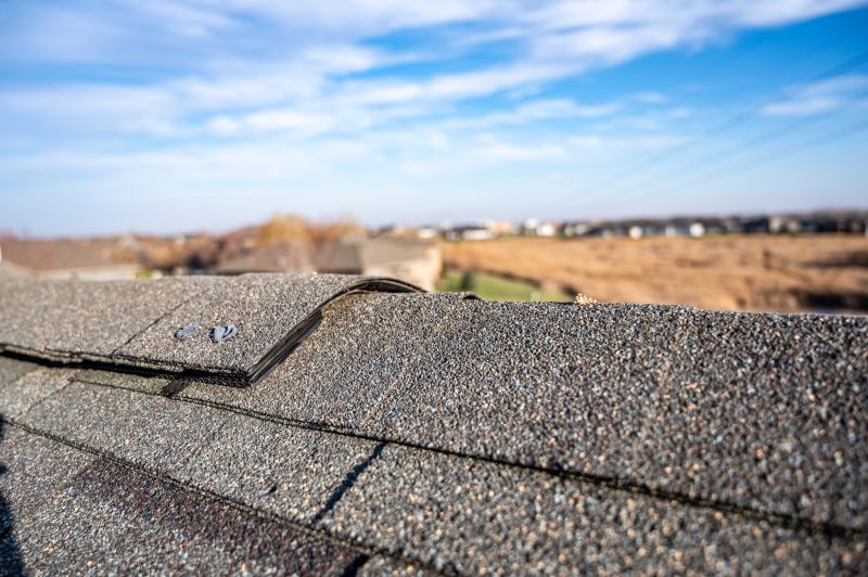 Damaged Roof Repair in Larkspur, CO