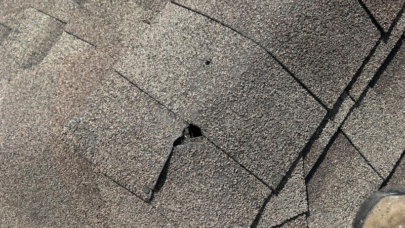 Damaged Roof Repair in Larkspur, CO