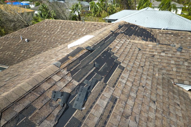 Dormer Roof Repair in Parker, CO