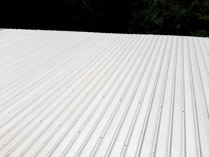 Galvanized Roof Repair in Parker, CO