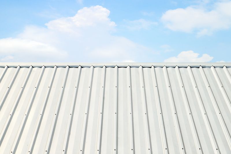 Metal Roof Coating Service in Parker, CO