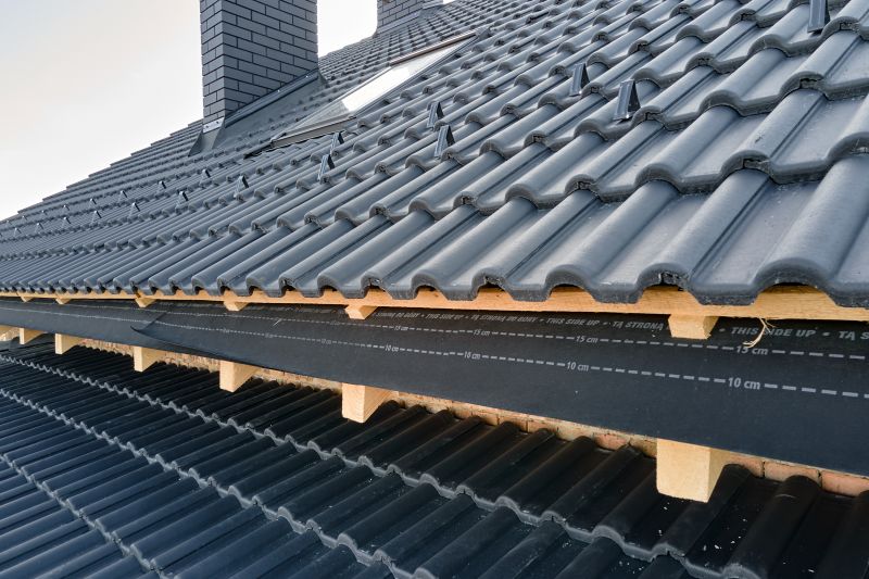 Roof Construction in Larkspur, CO
