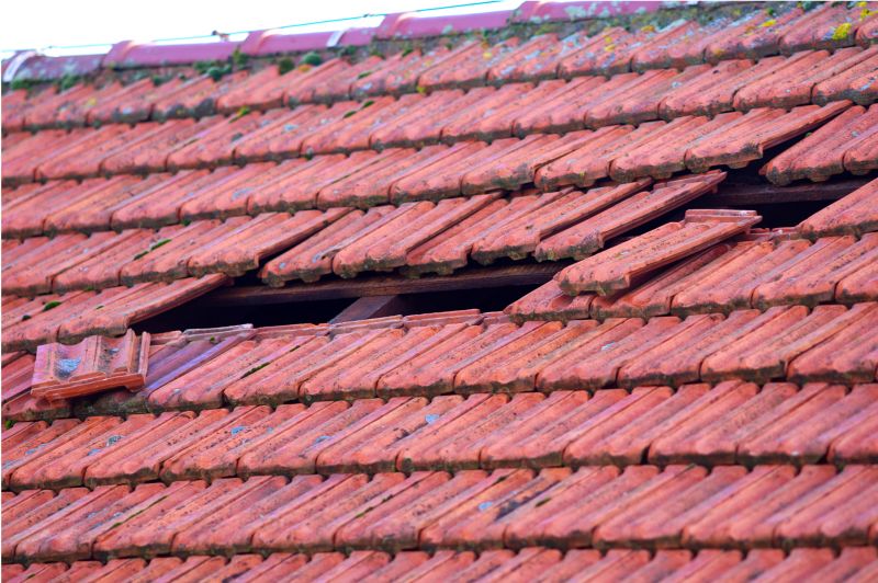 Roof Damage Inspection in Denver County, CO