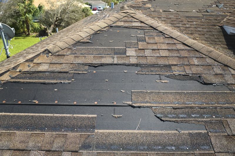 Roof Hail Damage Repair in Parker, CO