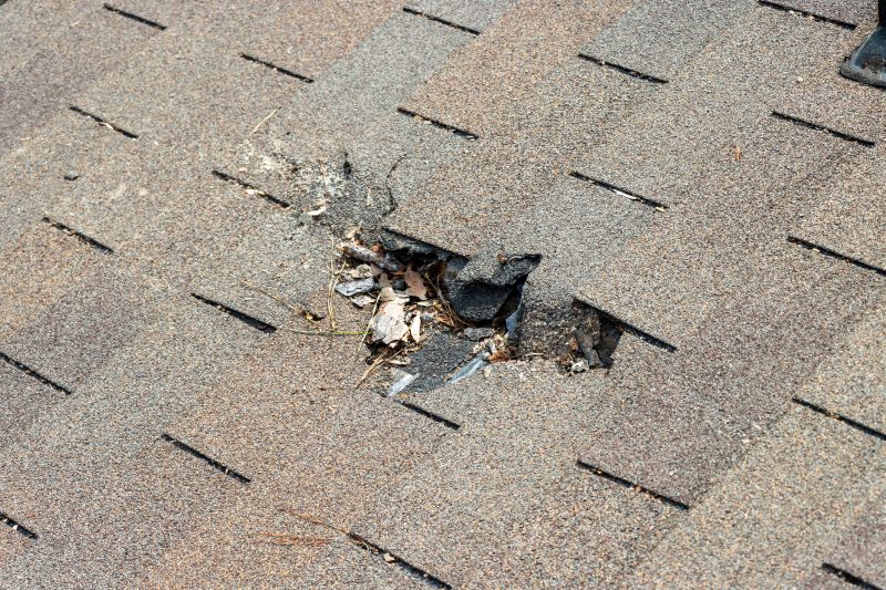 Roof Shingles Replacement in Parker, CO