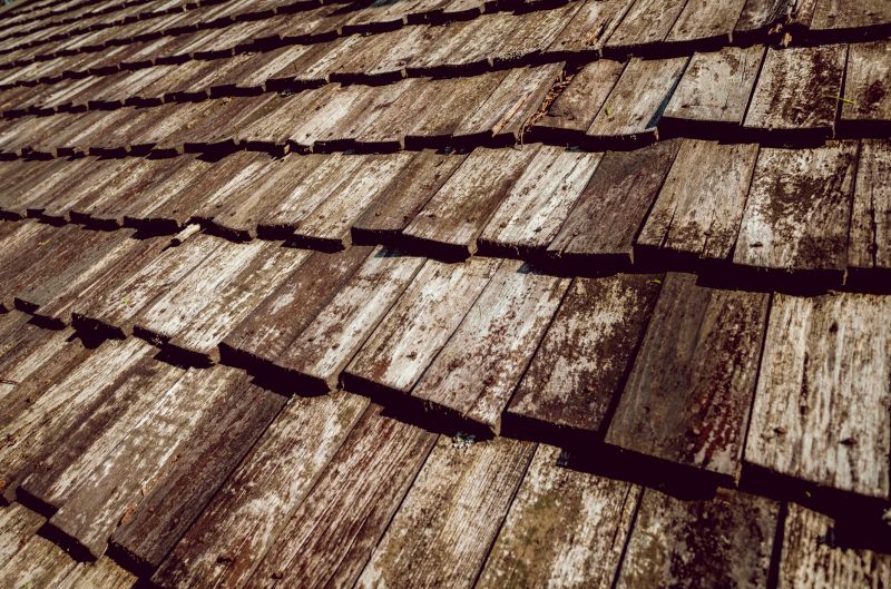 Shake Roof Replacement in Castle Rock, CO