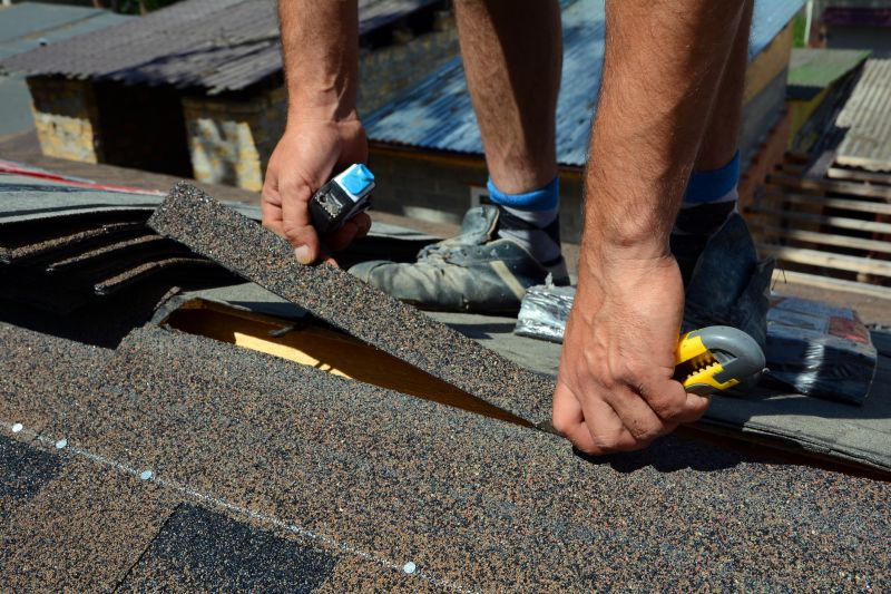 Shingles Repair in Denver, CO