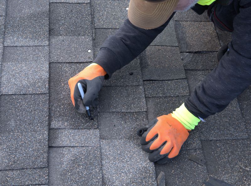 Shingles Repair in Douglas County, CO