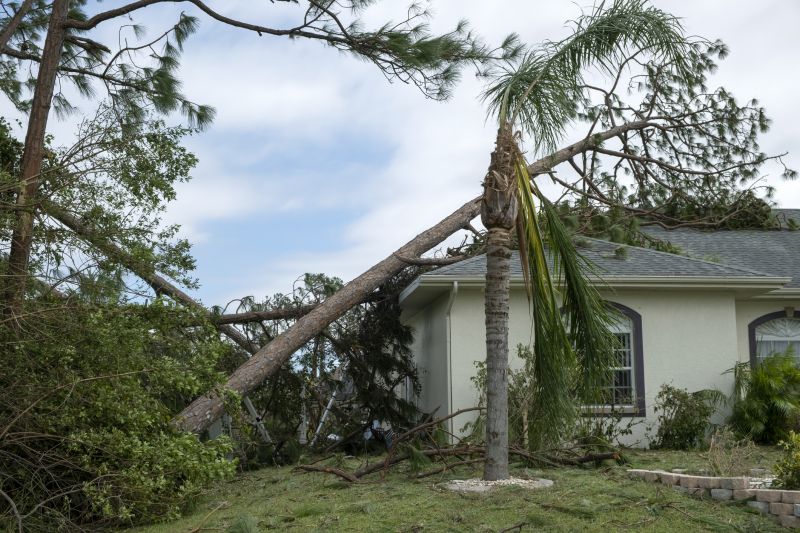 Storm Damage Roof Repair in Douglas County, CO