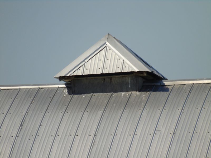 Tin Roof Installation in Elizabeth, CO